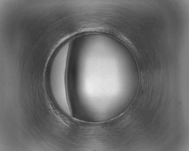 X0000056030628200508190953