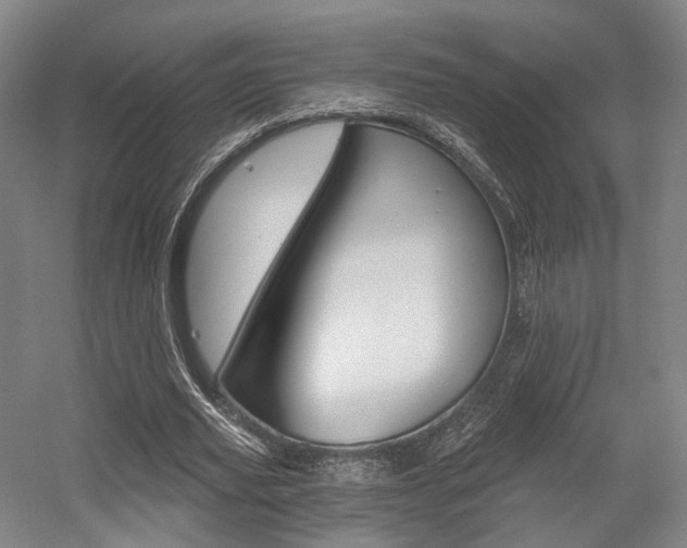 X0000056030629200508190953