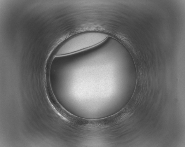 X0000056030630200508190953