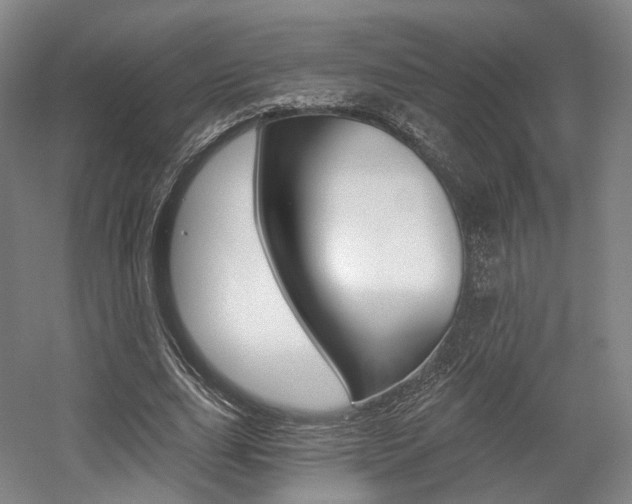 X0000056030631200508190953