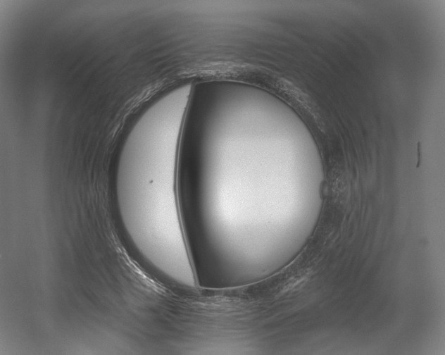 X0000056030633200508190953