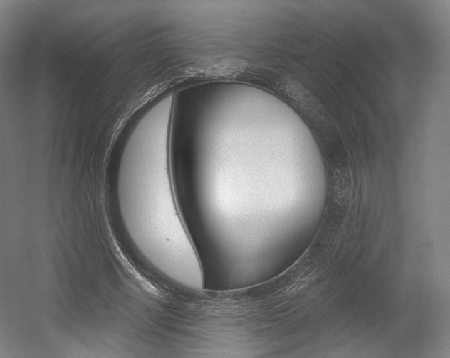 X0000056030634200508190953