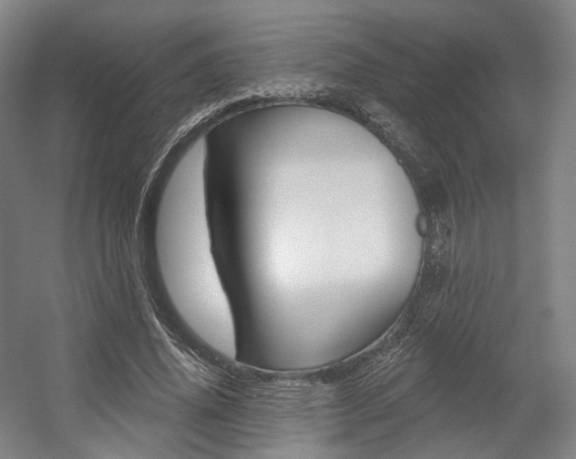 X0000056030636200508190953