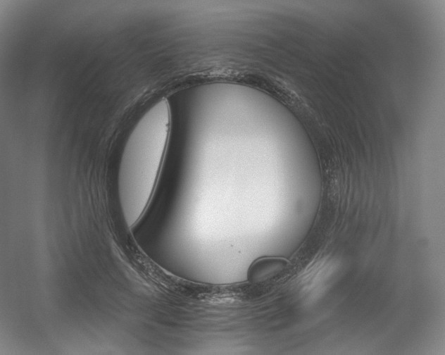 X0000056030643200508190953