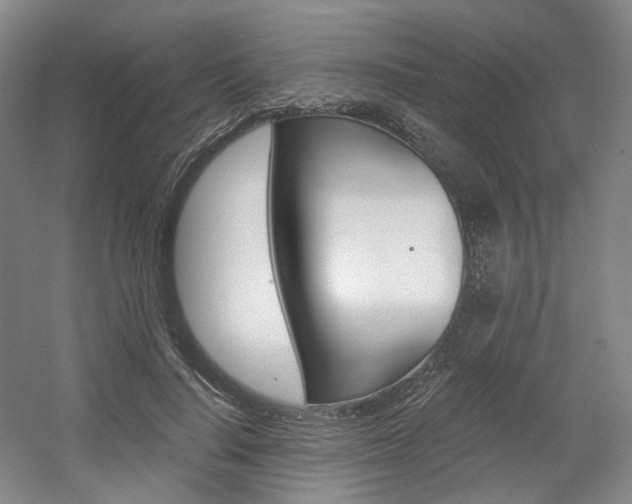 X0000056030644200508190953