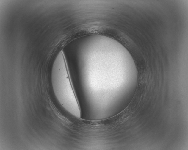 X0000056030646200508190953