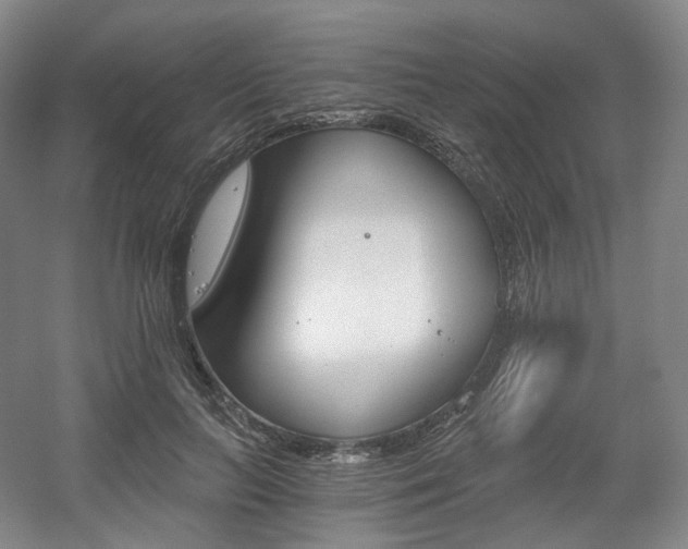 X0000056030647200508190953