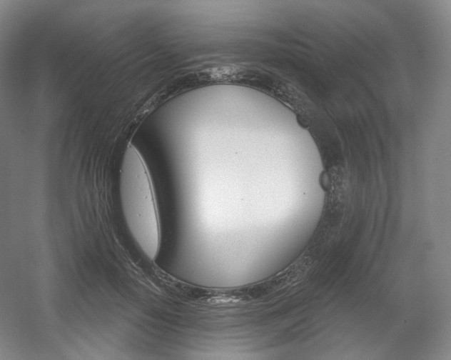 X0000056030650200508190953