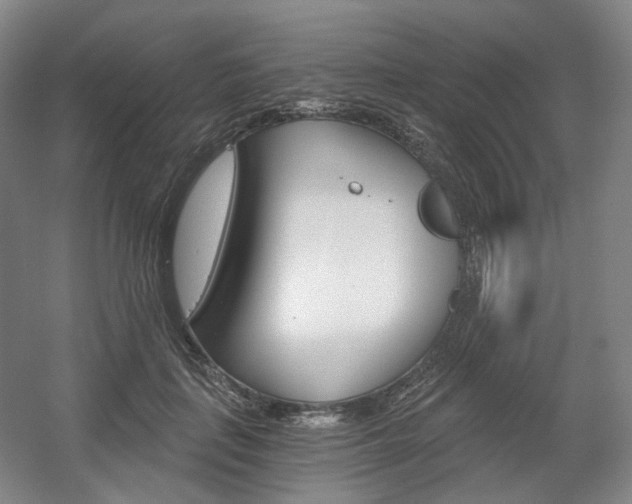 X0000056030651200508190953