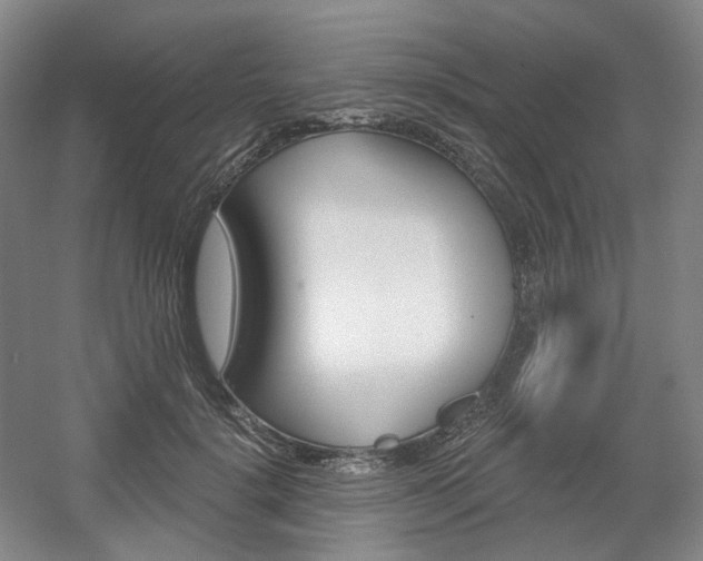 X0000056030652200508190953