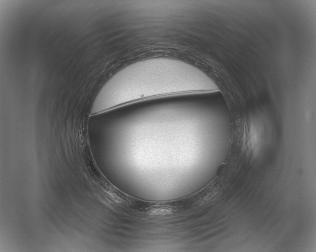 X0000056030653200508190953