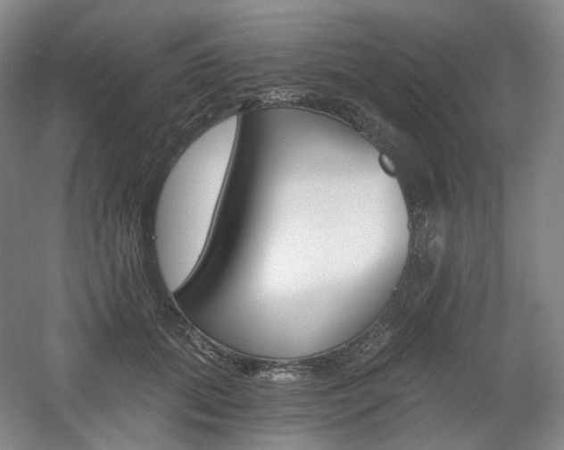 X0000056030655200508190953