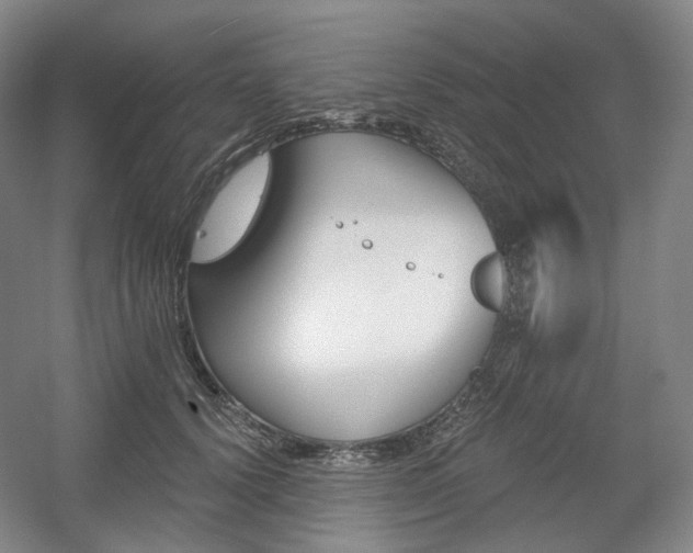 X0000056030656200508190953