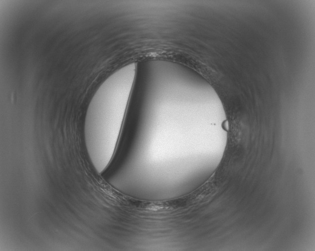 X0000056030657200508190953