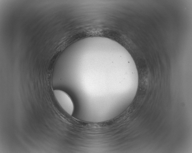 X0000056030658200508190953
