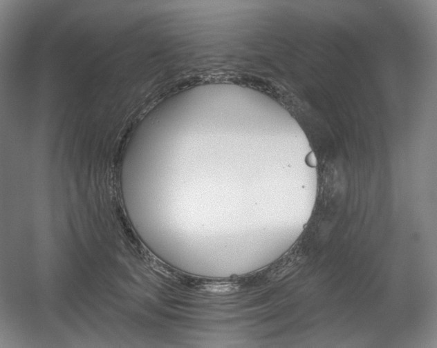 X0000056030659200508190953