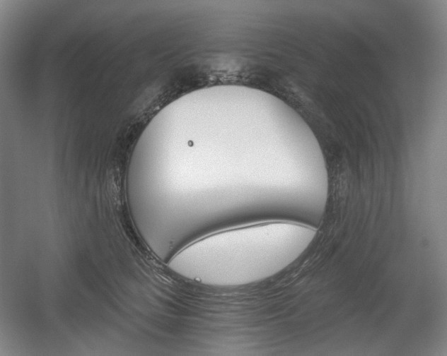X0000056030661200508190953