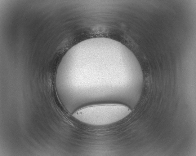 X0000056030662200508190953