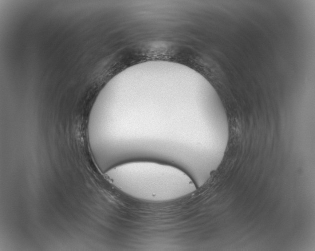 X0000056030663200508190953