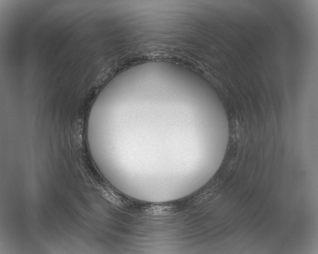X0000056030664200508190954