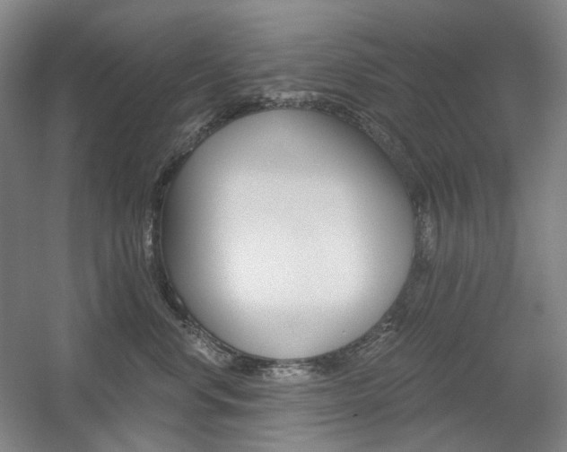 X0000056030668200508190954