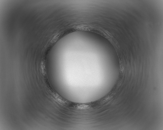 X0000056030669200508190954