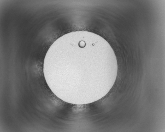 X0000056030672200508190954