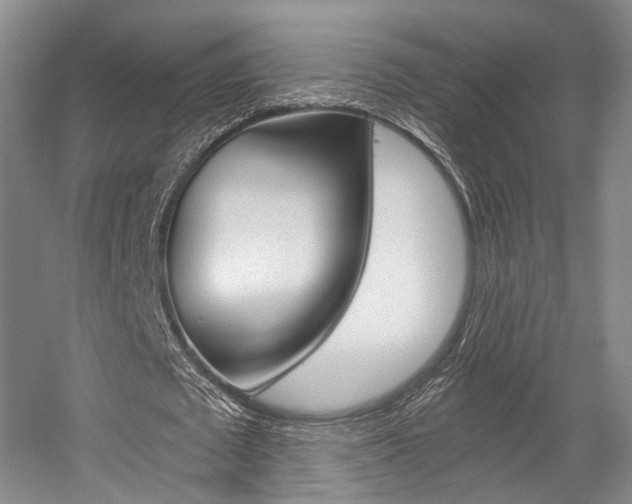 X0000056030673200508190953