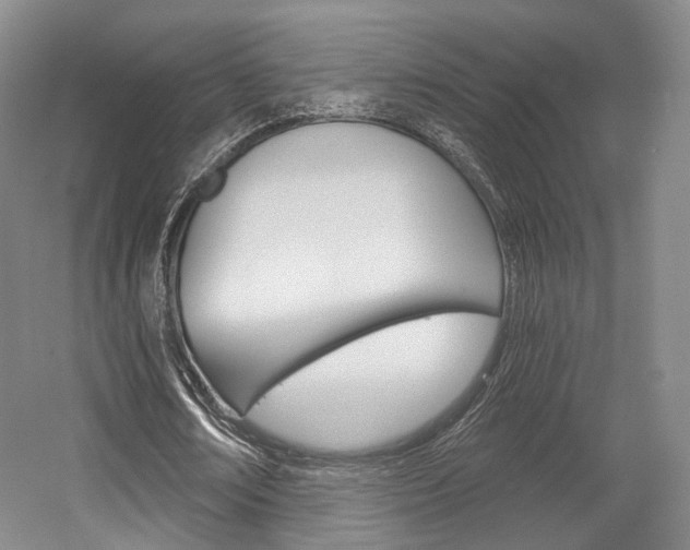 X0000056030674200508190953