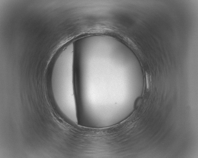 X0000056030675200508190953