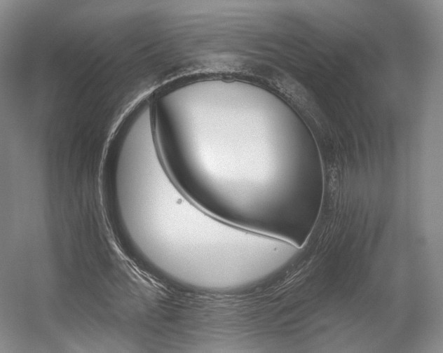 X0000056030676200508190953