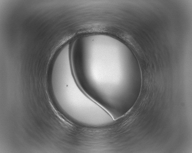 X0000056030677200508190953