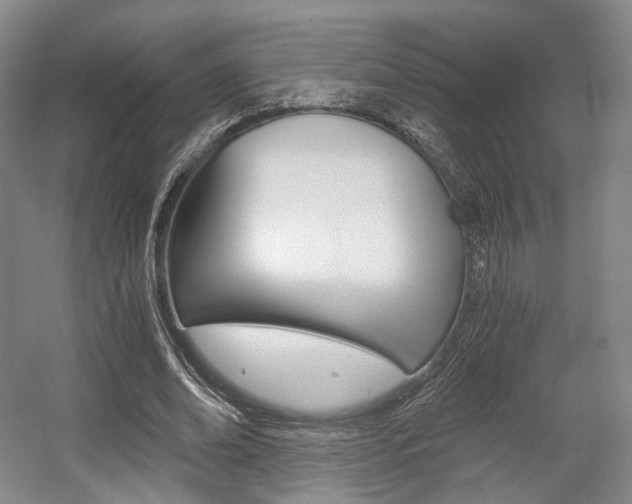X0000056030678200508190953