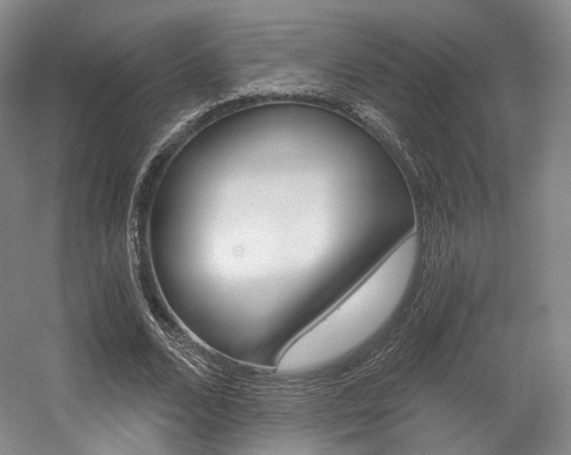 X0000056030680200508190953