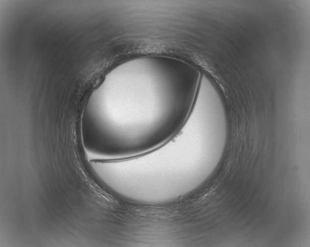 X0000056030681200508190953