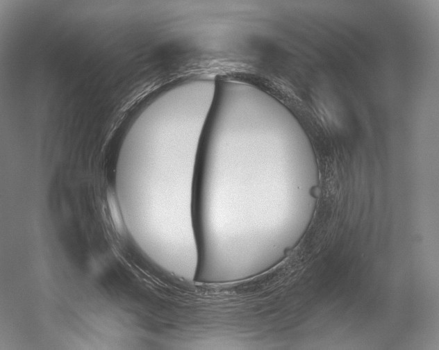 X0000056030683200508190953