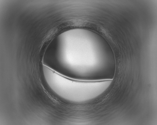 X0000056030685200508190953
