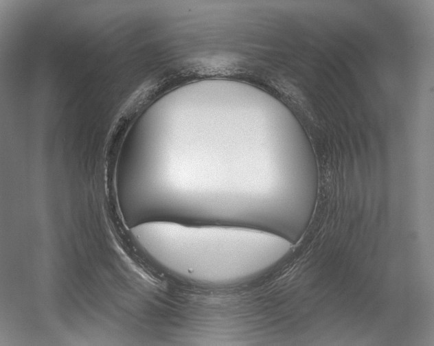 X0000056030686200508190953