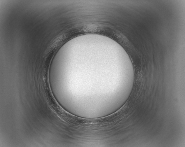 X0000056030687200508190953