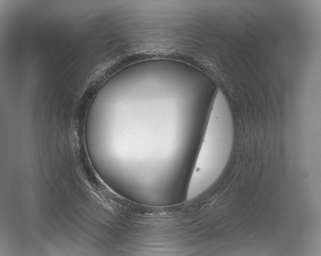 X0000056030688200508190953