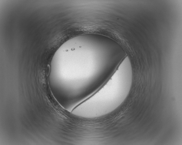 X0000056030689200508190953