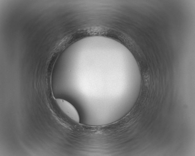 X0000056030690200508190953
