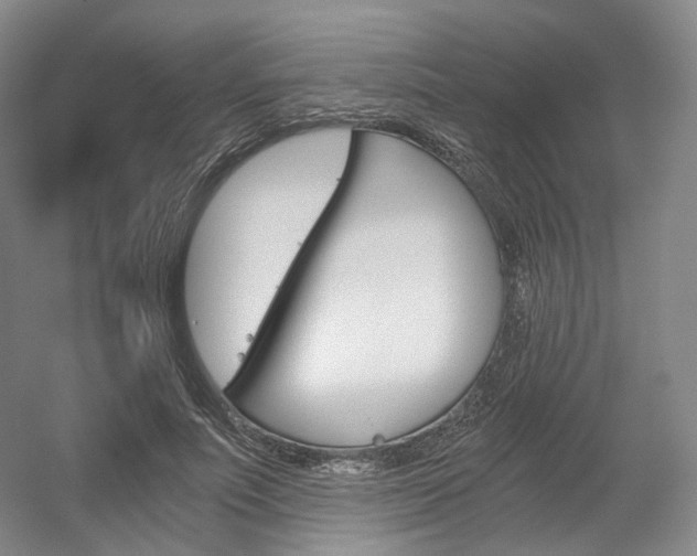 X0000056030691200508190953