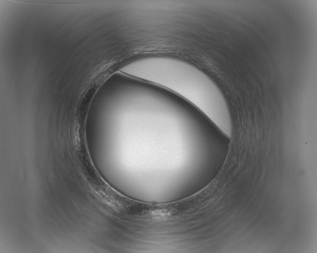 X0000056030692200508190952