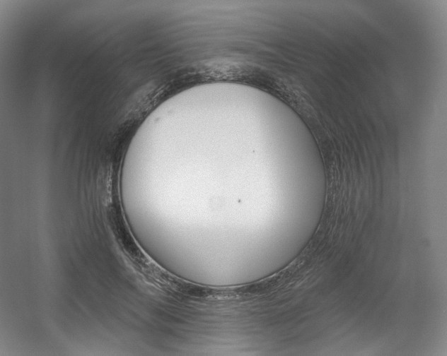 X0000056030694200508190952