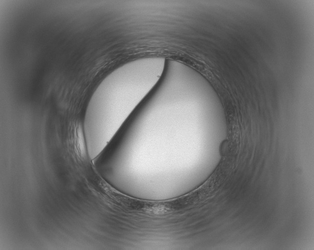 X0000056030695200508190952