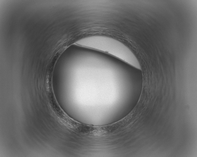 X0000056030696200508190952