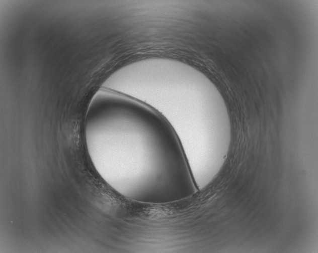 X0000056030697200508190952