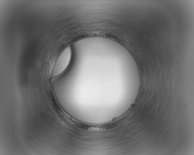 X0000056030699200508190952