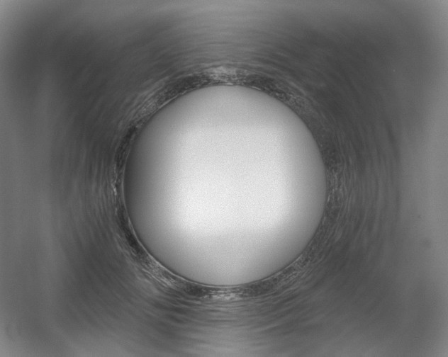 X0000056030702200508190952